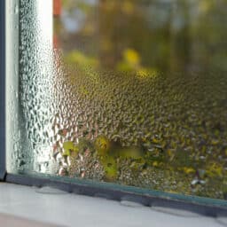Humidity on the windowsill